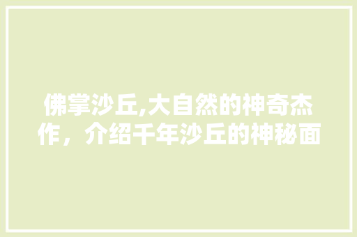 佛掌沙丘,大自然的神奇杰作，介绍千年沙丘的神秘面纱