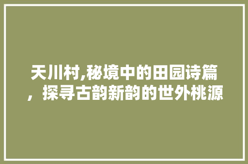 天川村,秘境中的田园诗篇，探寻古韵新韵的世外桃源  第1张