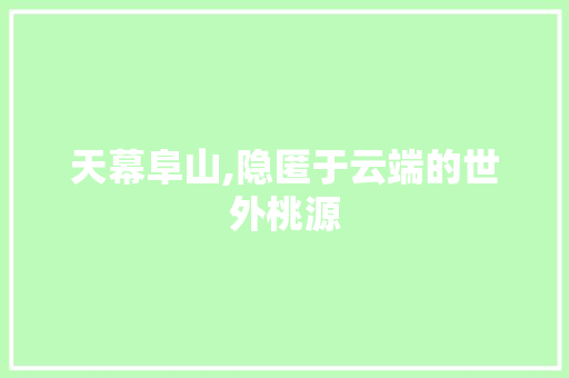 天幕阜山,隐匿于云端的世外桃源  第1张