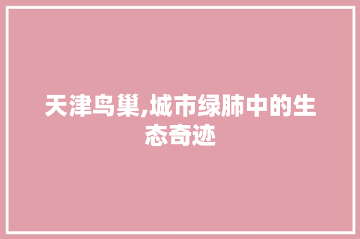 天津鸟巢,城市绿肺中的生态奇迹