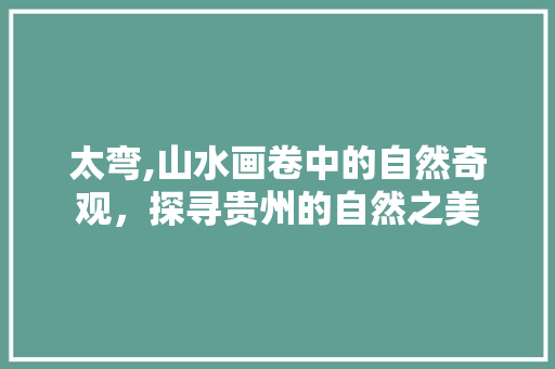 太弯,山水画卷中的自然奇观，探寻贵州的自然之美