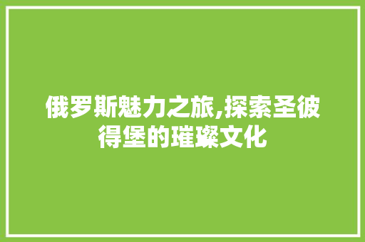 俄罗斯魅力之旅,探索圣彼得堡的璀璨文化