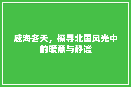 威海冬天，探寻北国风光中的暖意与静谧