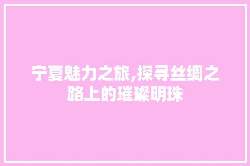 宁夏魅力之旅,探寻丝绸之路上的璀璨明珠