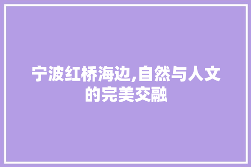 宁波红桥海边,自然与人文的完美交融  第1张