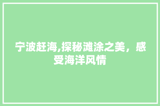 宁波赶海,探秘滩涂之美，感受海洋风情  第1张