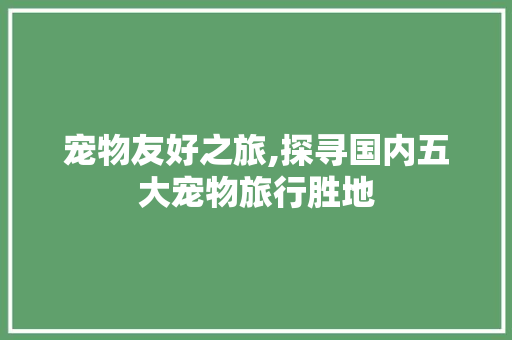 宠物友好之旅,探寻国内五大宠物旅行胜地