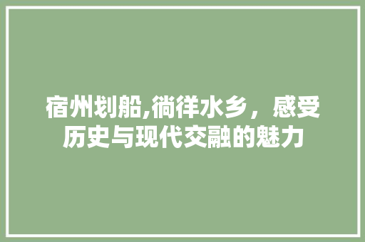 宿州划船,徜徉水乡，感受历史与现代交融的魅力  第1张