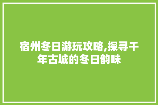 宿州冬日游玩攻略,探寻千年古城的冬日韵味