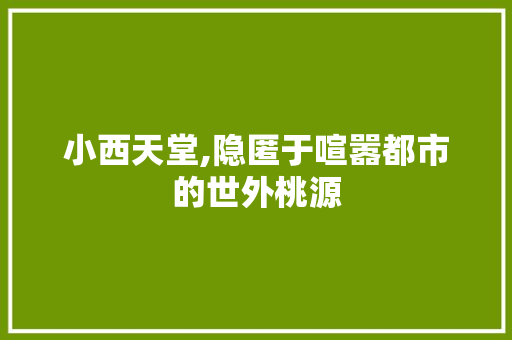 小西天堂,隐匿于喧嚣都市的世外桃源