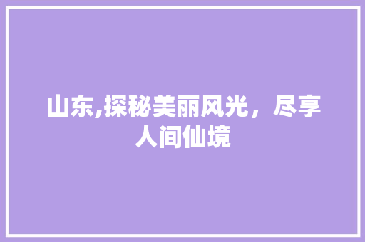 山东,探秘美丽风光，尽享人间仙境