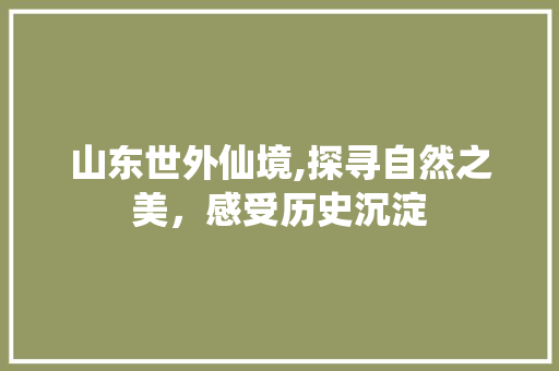 山东世外仙境,探寻自然之美，感受历史沉淀