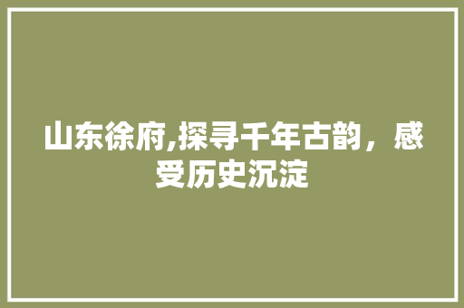 山东徐府,探寻千年古韵，感受历史沉淀