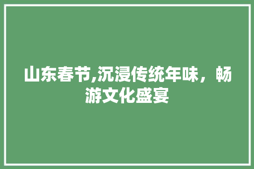 山东春节,沉浸传统年味，畅游文化盛宴