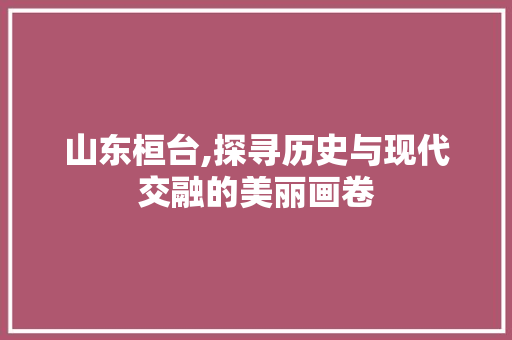 山东桓台,探寻历史与现代交融的美丽画卷