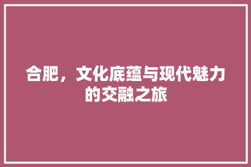合肥，文化底蕴与现代魅力的交融之旅