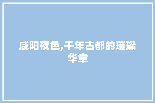 咸阳夜色,千年古都的璀璨华章