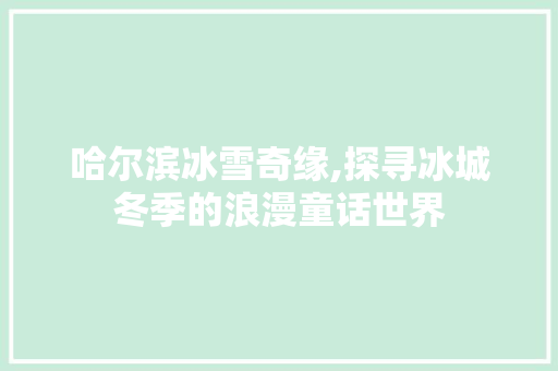 哈尔滨冰雪奇缘,探寻冰城冬季的浪漫童话世界  第1张