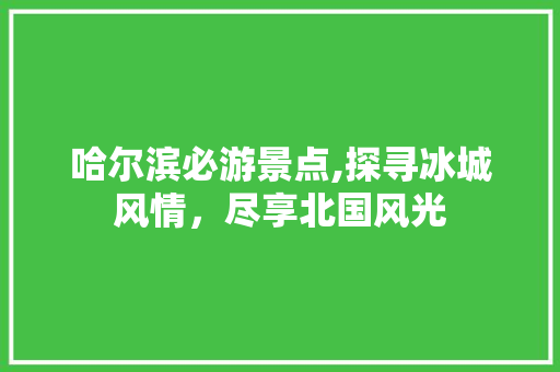 哈尔滨必游景点,探寻冰城风情，尽享北国风光  第1张