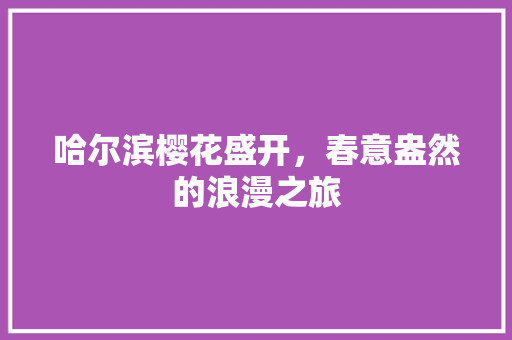 哈尔滨樱花盛开，春意盎然的浪漫之旅  第1张