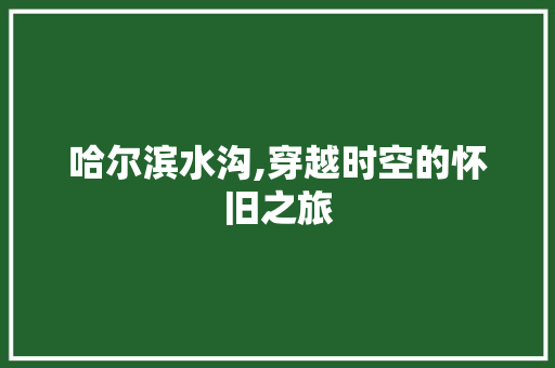 哈尔滨水沟,穿越时空的怀旧之旅