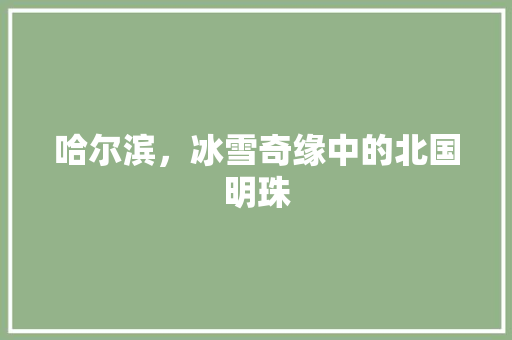 哈尔滨，冰雪奇缘中的北国明珠  第1张