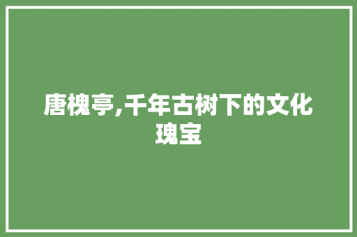 唐槐亭,千年古树下的文化瑰宝