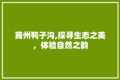 商州鸭子沟,探寻生态之美，体验自然之韵