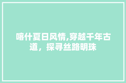 喀什夏日风情,穿越千年古道，探寻丝路明珠