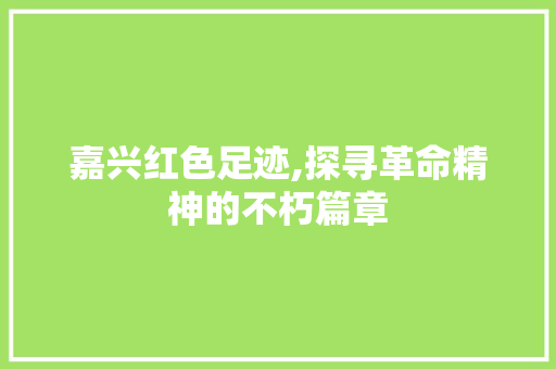 嘉兴红色足迹,探寻革命精神的不朽篇章