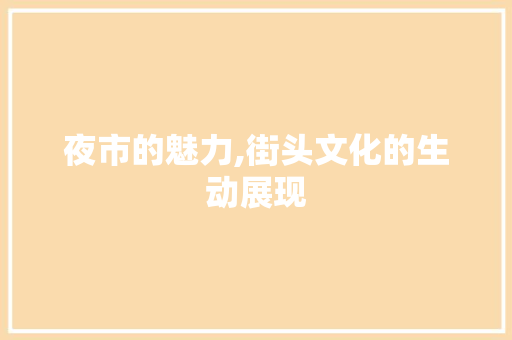夜市的魅力,街头文化的生动展现