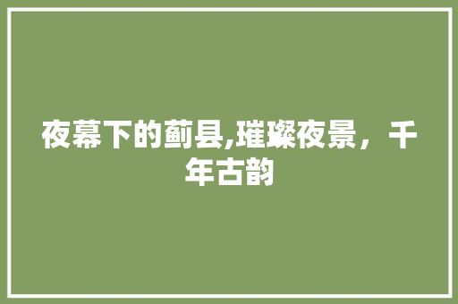夜幕下的蓟县,璀璨夜景，千年古韵