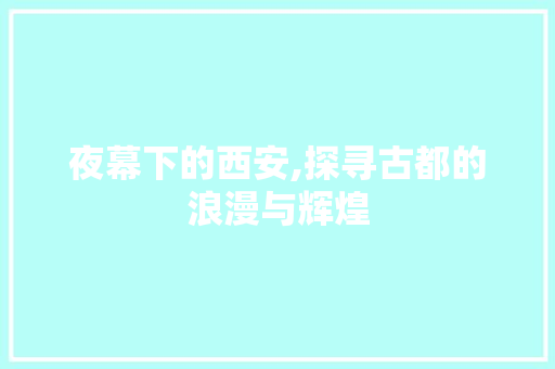 夜幕下的西安,探寻古都的浪漫与辉煌  第1张