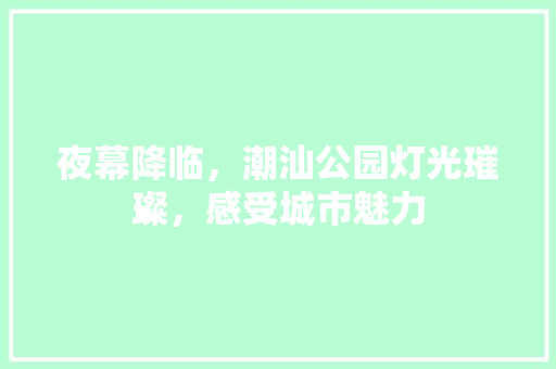 夜幕降临，潮汕公园灯光璀璨，感受城市魅力