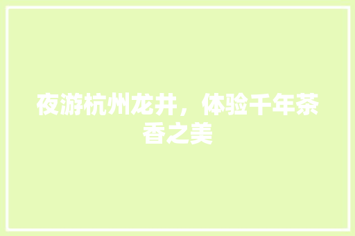夜游杭州龙井，体验千年茶香之美  第1张