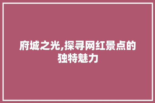 府城之光,探寻网红景点的独特魅力  第1张