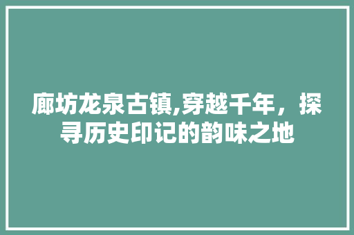 廊坊龙泉古镇,穿越千年，探寻历史印记的韵味之地
