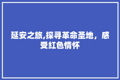 延安之旅,探寻革命圣地，感受红色情怀  第1张