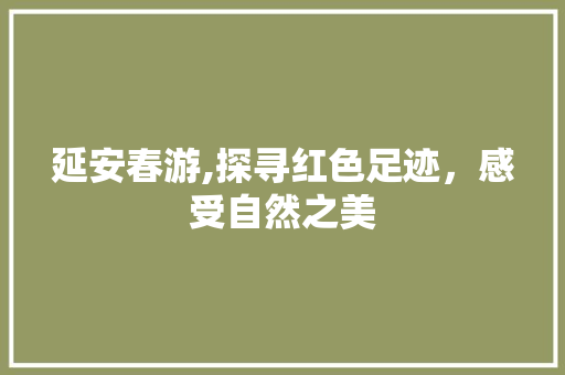 延安春游,探寻红色足迹，感受自然之美  第1张