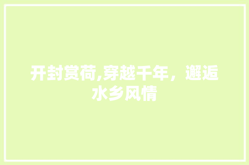 开封赏荷,穿越千年，邂逅水乡风情