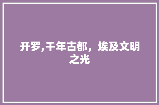 开罗,千年古都，埃及文明之光