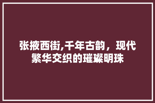 张掖西街,千年古韵，现代繁华交织的璀璨明珠