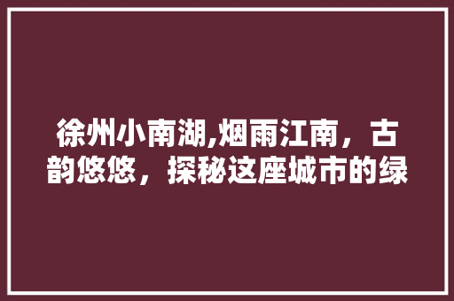 徐州小南湖,烟雨江南，古韵悠悠，探秘这座城市的绿色明珠  第1张
