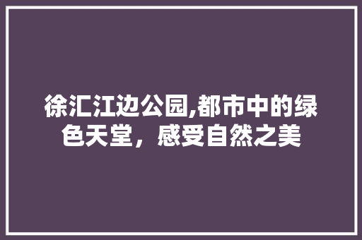 徐汇江边公园,都市中的绿色天堂，感受自然之美