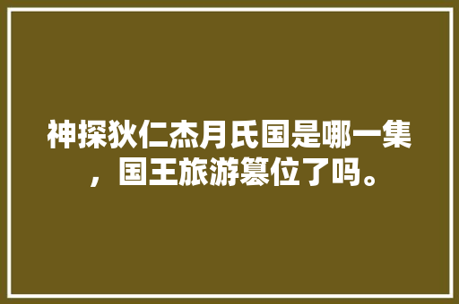 神探狄仁杰月氏国是哪一集，国王旅游篡位了吗。