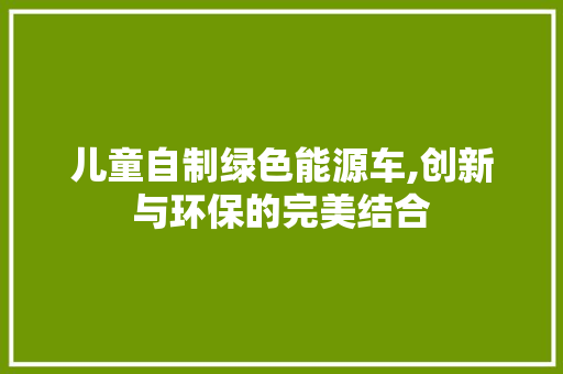 儿童自制绿色能源车,创新与环保的完美结合  第1张
