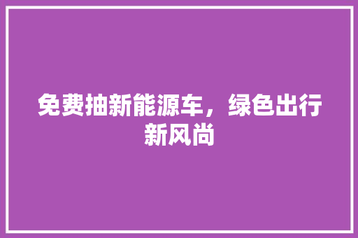 免费抽新能源车，绿色出行新风尚  第1张