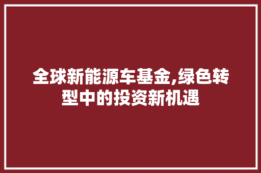 全球新能源车基金,绿色转型中的投资新机遇  第1张