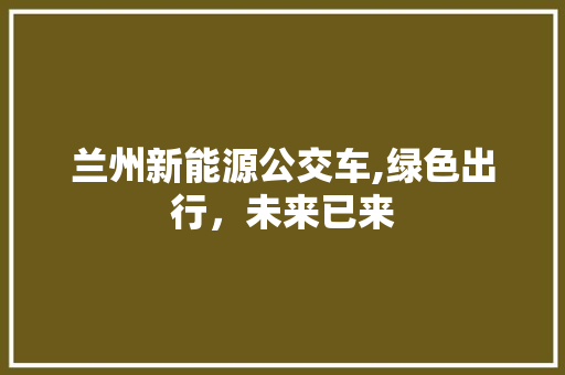兰州新能源公交车,绿色出行，未来已来