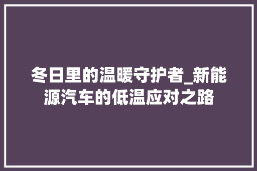 冬日里的温暖守护者_新能源汽车的低温应对之路  第1张